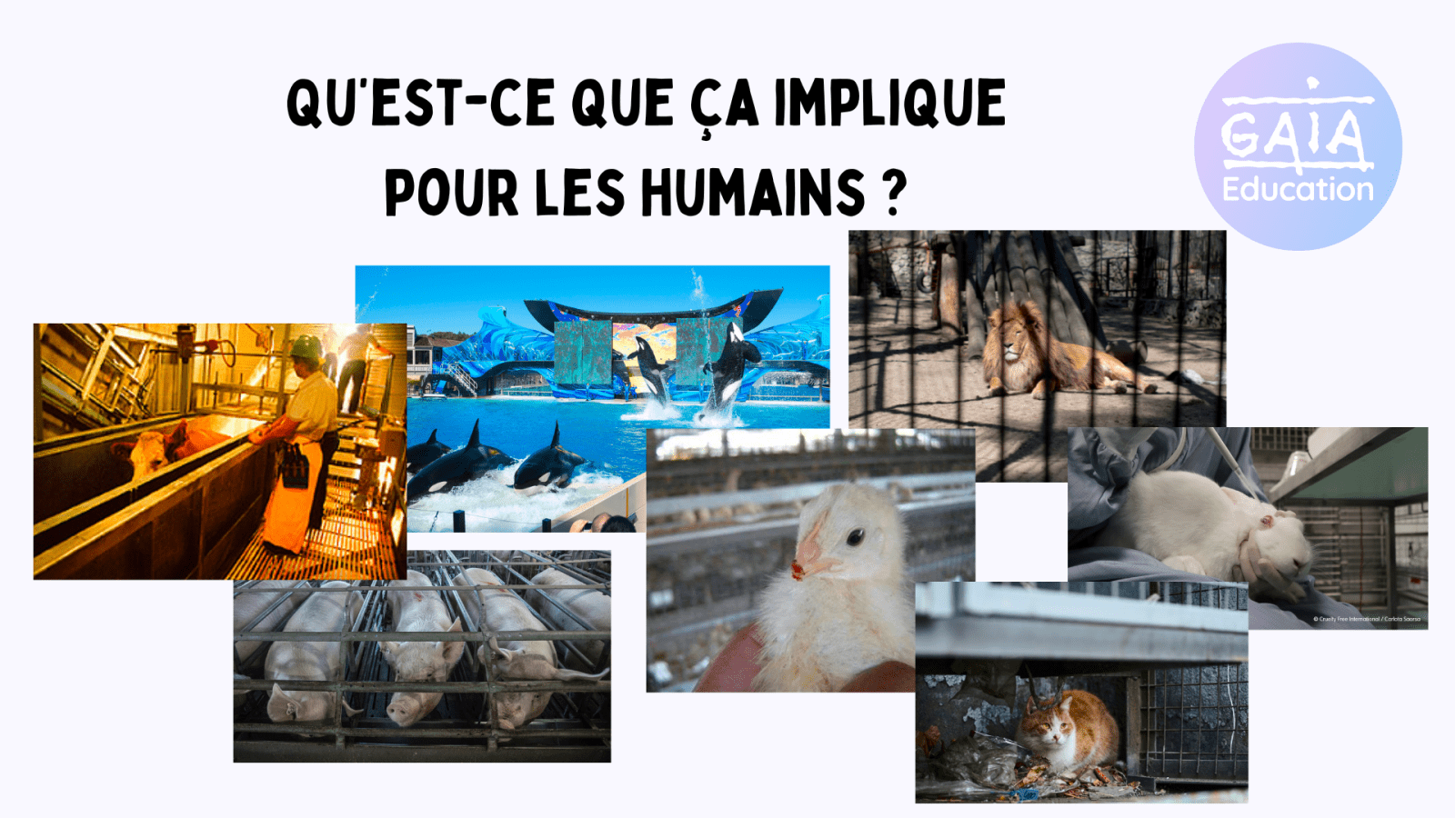 droit