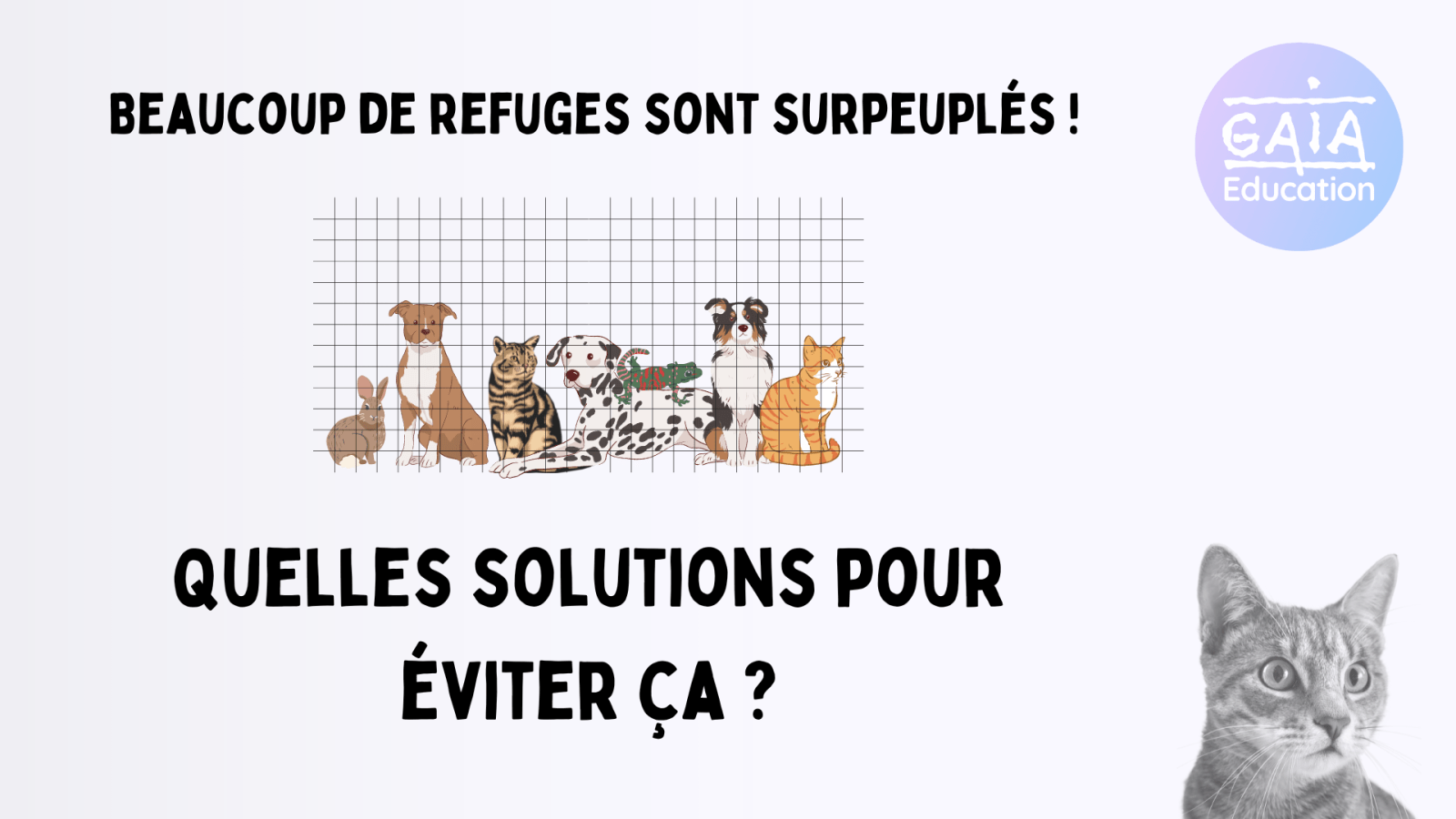 refuge