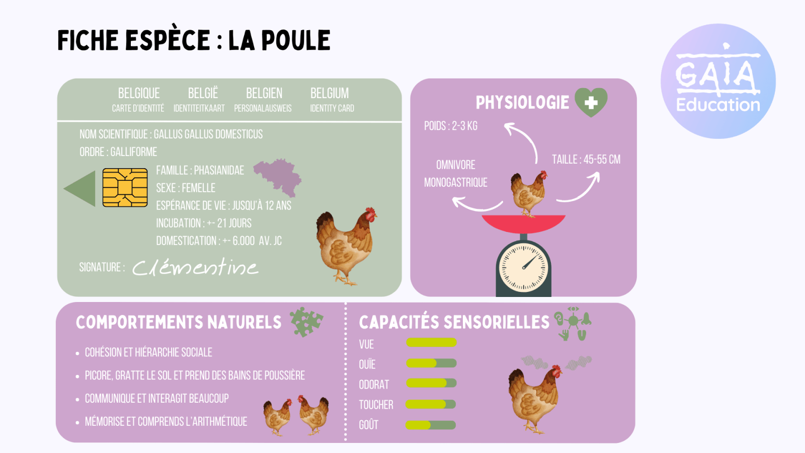poule fiche