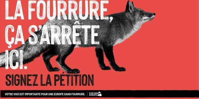fourrure